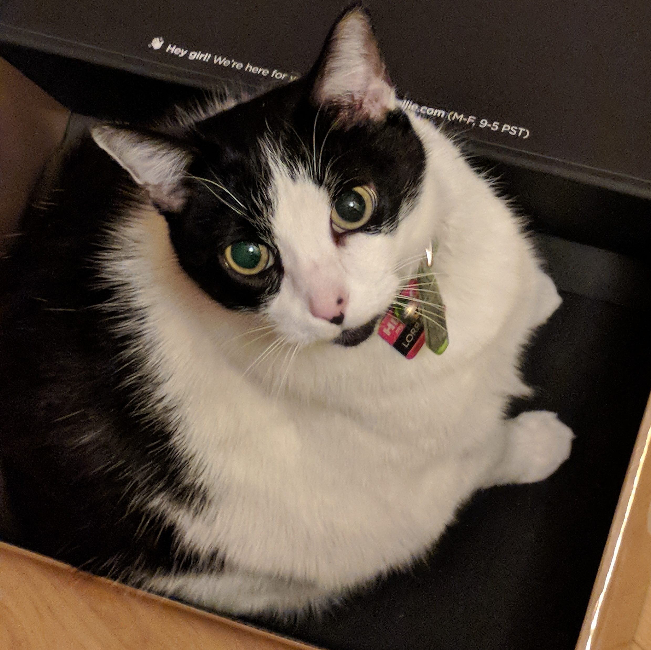 cropped-MVIMG_20180108_171952.jpg